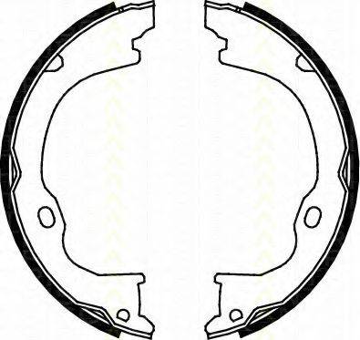 TRISCAN 8100 80011