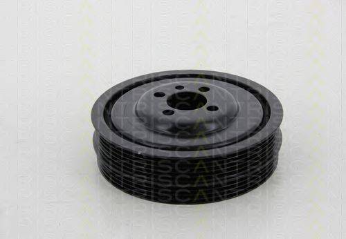 TRISCAN 8643 29005