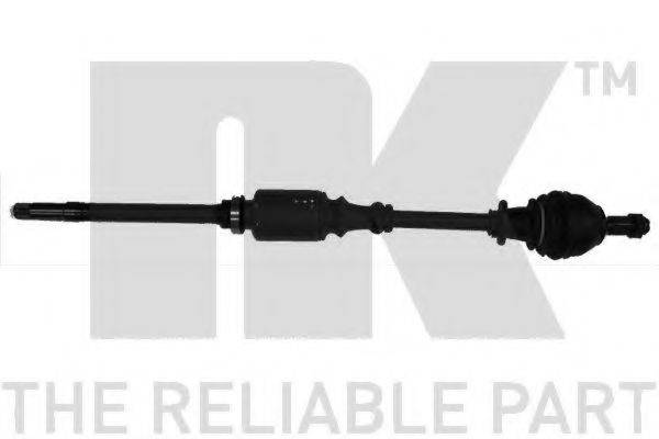NK 501939