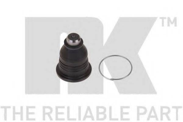 NK 5043931
