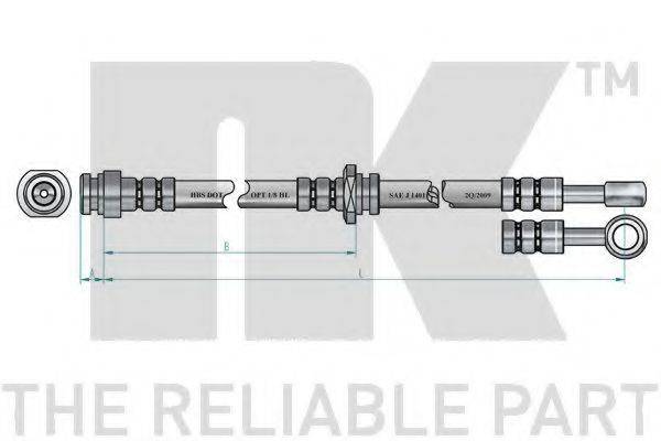 NK 855203