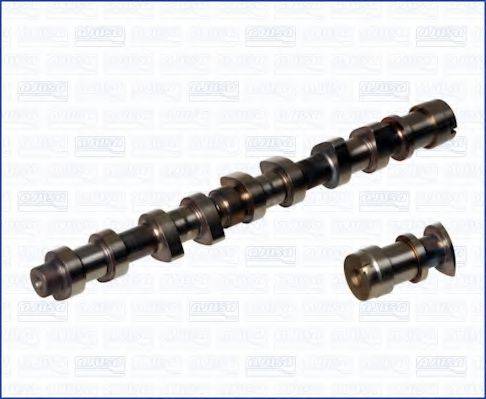 RUVILLE 215909 Розподільний вал