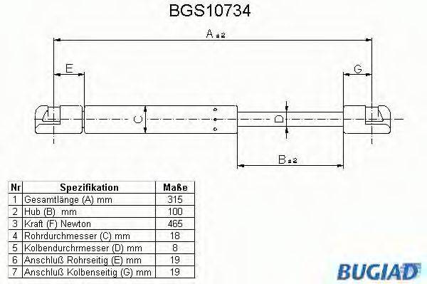 BUGIAD BGS10734