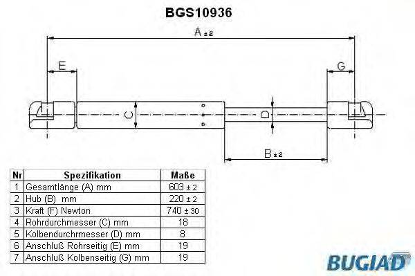 BUGIAD BGS10936