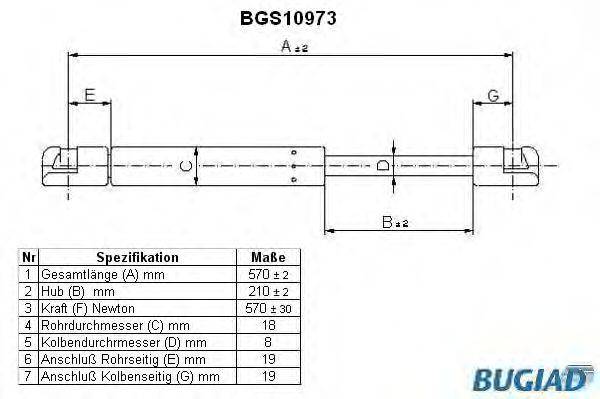 BUGIAD BGS10973