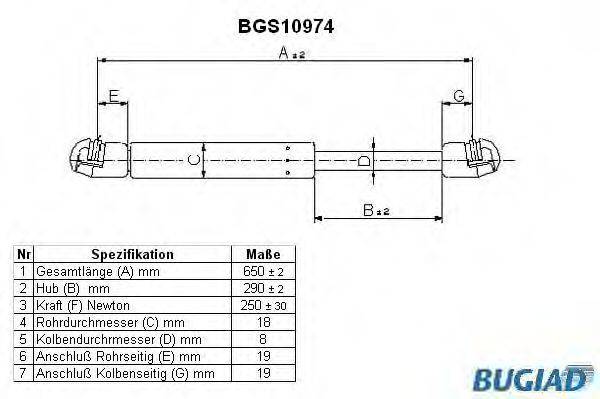 BUGIAD BGS10974