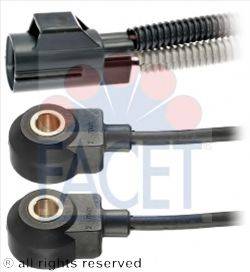 FACET 9.3130
