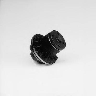 PEX 190029 Водяний насос