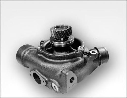 HEPU P1185