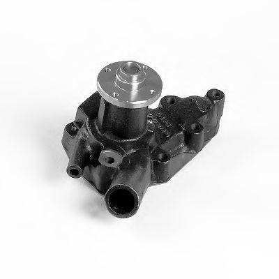 NPW I24 Водяний насос