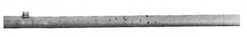 BOSAL 775-205 Труба вихлопного газу