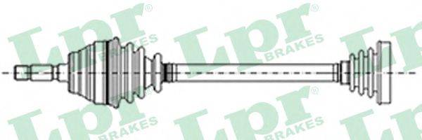 LPR DS13018