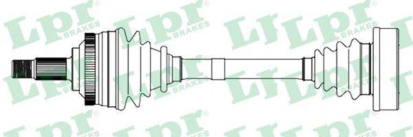 LPR DS13036