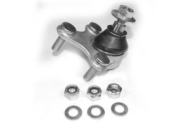 OCAP 0494281