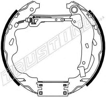 TRUSTING 6309