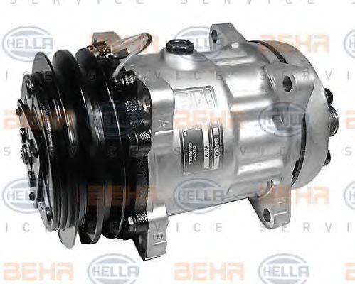 SANDEN 8019 Компресор, кондиціонер
