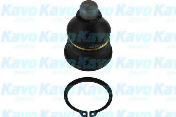 KAVO PARTS SBJ-6505