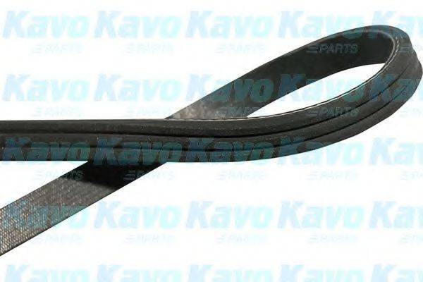 KAVO PARTS DMV-2044