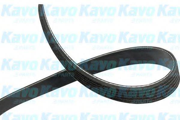 KAVO PARTS DMV-9005
