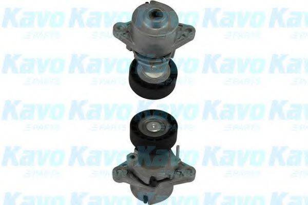 KAVO PARTS DTP-3017