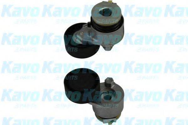 KAVO PARTS DTP-6506