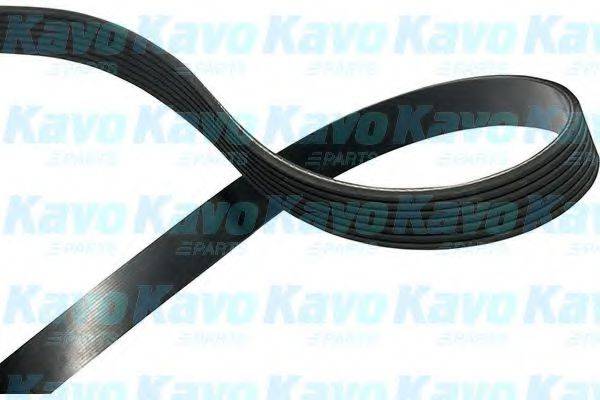 KAVO PARTS DMV-3053