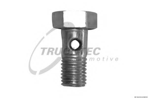 DT 8.82002 Порожнистий болт