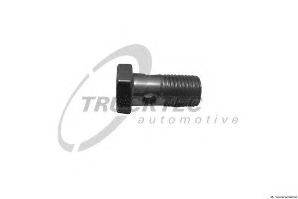 DT 8.82008 Порожнистий болт