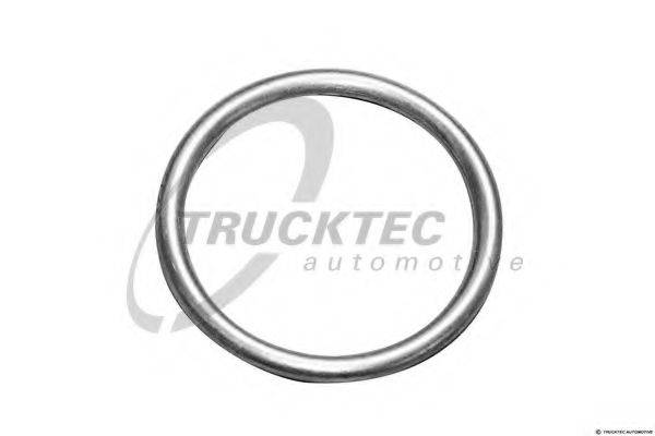 DT 9.01017 Кільце ущільнювача, різьбова пр