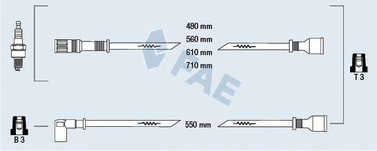 FAE 83870