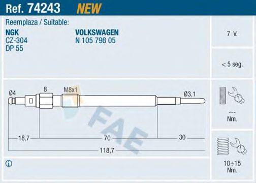 FAE 74243