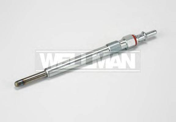 STANDARD W423