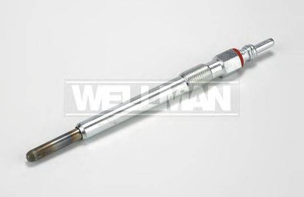 STANDARD W462