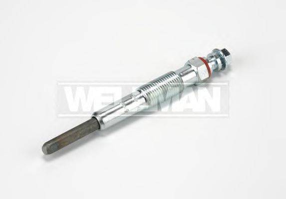 STANDARD W597
