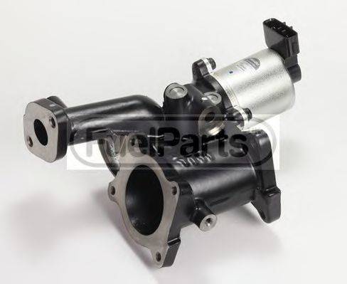 STANDARD EGR249