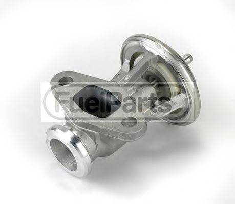 STANDARD EGR081
