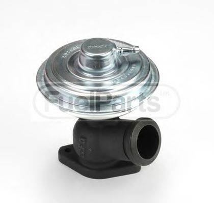 STANDARD EGR281