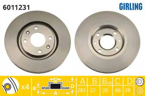 GIRLING 6011231
