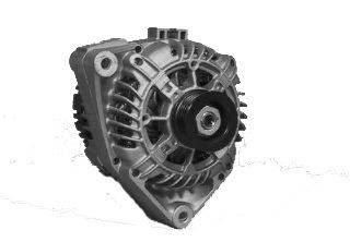 CV PSH 215.506.095