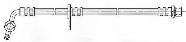 KAWE 511937