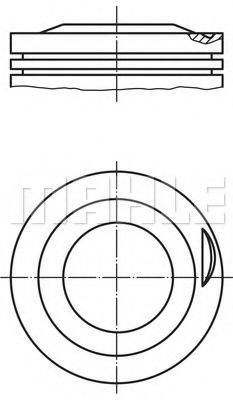 MAHLE ORIGINAL 6272002 Поршень