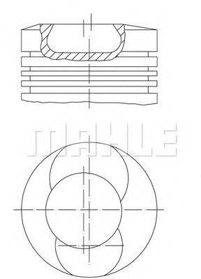 MAHLE ORIGINAL 1018102 Поршень