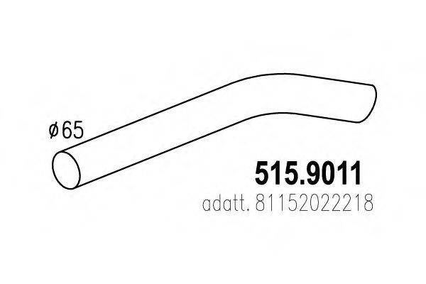 ASSO 515.9011