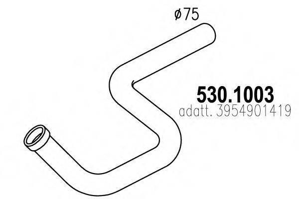 ASSO 530.1003