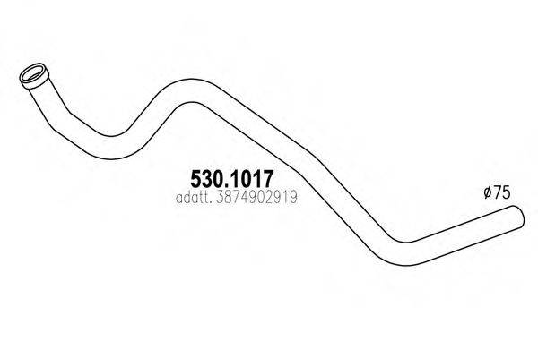 ASSO 530.1017