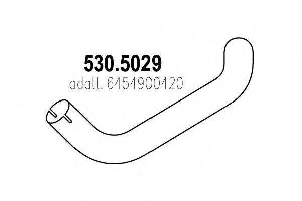 ASSO 530.5029