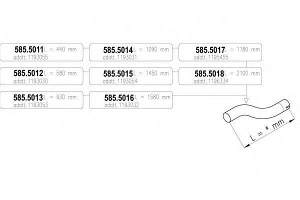 ASSO 585.5016