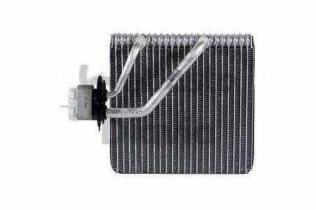 WEBASTO TSP0525174 Випарник, кондиціонер