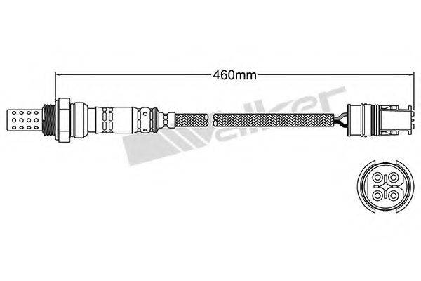 WALKER PRODUCTS 250-24412
