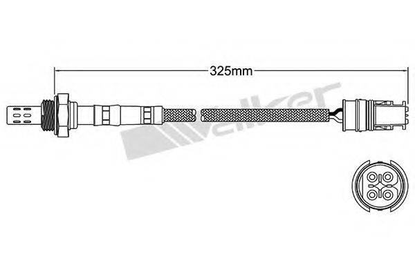 WALKER PRODUCTS 250-24609